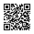 QR Code (код быстрого отклика)