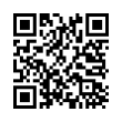 QR Code (код быстрого отклика)