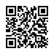 QR Code (код быстрого отклика)