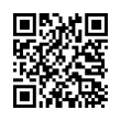 QR Code (код быстрого отклика)