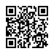 QR Code (код быстрого отклика)