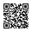 QR Code (код быстрого отклика)