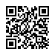 QR Code (код быстрого отклика)