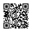 QR Code (код быстрого отклика)