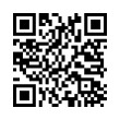 QR Code (код быстрого отклика)