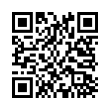 QR Code (код быстрого отклика)