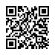 QR Code (код быстрого отклика)