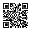 QR Code (код быстрого отклика)