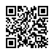 QR Code (код быстрого отклика)