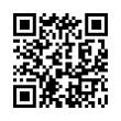 QR Code (код быстрого отклика)