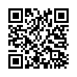 QR Code (код быстрого отклика)