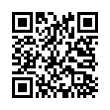 QR Code (код быстрого отклика)