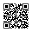 QR Code (код быстрого отклика)