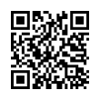 QR Code (код быстрого отклика)