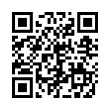 QR Code (код быстрого отклика)