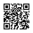 QR Code (код быстрого отклика)