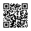 QR Code (код быстрого отклика)