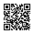 QR Code (код быстрого отклика)