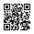 QR Code (код быстрого отклика)