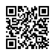 QR Code (код быстрого отклика)