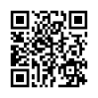 QR Code (код быстрого отклика)