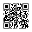 QR Code (код быстрого отклика)