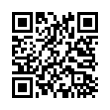 QR Code (код быстрого отклика)