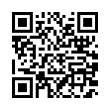 QR Code (код быстрого отклика)