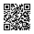 QR Code (код быстрого отклика)