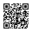 QR Code (код быстрого отклика)