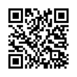 QR Code (код быстрого отклика)