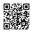 QR Code (код быстрого отклика)