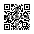 QR Code (код быстрого отклика)