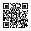 QR Code (код быстрого отклика)