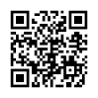 QR Code (код быстрого отклика)