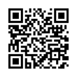 QR Code (код быстрого отклика)