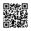 QR Code (код быстрого отклика)