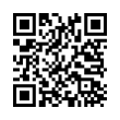 QR Code (код быстрого отклика)