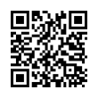 QR Code (код быстрого отклика)