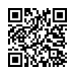 QR Code (код быстрого отклика)