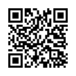 QR Code (код быстрого отклика)