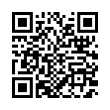 QR Code (код быстрого отклика)