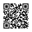 QR Code (код быстрого отклика)