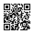 QR Code (код быстрого отклика)