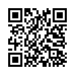 QR Code (код быстрого отклика)