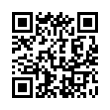 QR Code (код быстрого отклика)