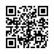 QR Code (код быстрого отклика)