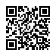 QR Code (код быстрого отклика)