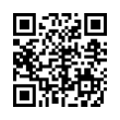 QR Code (код быстрого отклика)