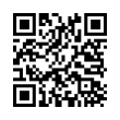 QR Code (код быстрого отклика)